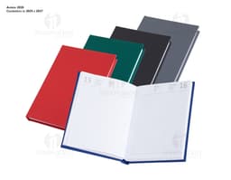 2025 blue rubberized planner with an elastic closure.