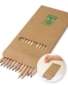 Caixa de cartão contendo 12 lápis de cor ideais para estimular a criatividade e a aprendizagem. Perfeitos para escola, escritório ou como presente. Garanta já o seu!