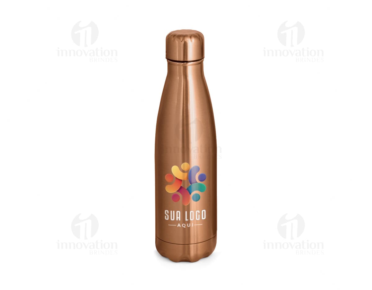 Garrafa de aço inox vazia, com design clean e elegante. A garrafa é transparente e possui um rótulo dourado. Está localizada em um banheiro, ao lado de outros produtos de higiene e cuidado pessoal.