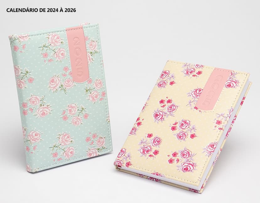 Envelope, dinheiro, papel, moeda, finanças, caderno, dinheiro, banco, bancário, riqueza, negócios, economia, cosmético, agenda diária 2025.