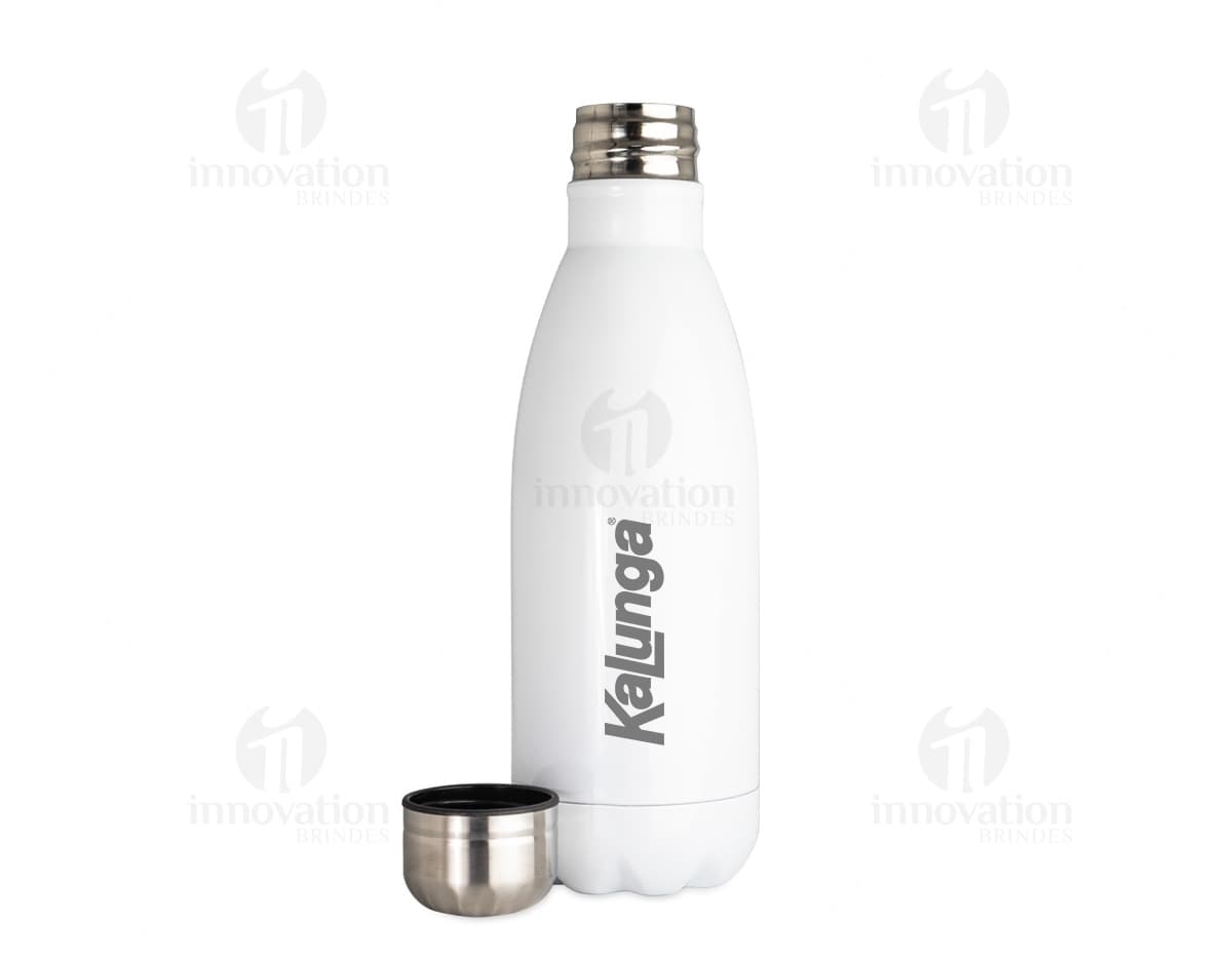 Garrafa Inox 650ml em fundo branco com tampa de rosca e design moderno.