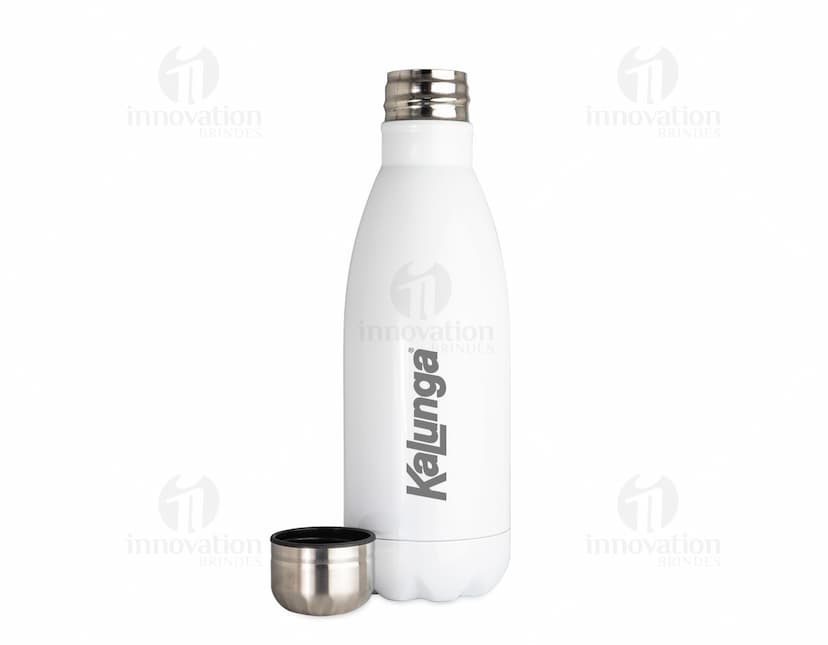 Garrafa Inox 650ml em fundo branco com tampa de rosca e design moderno.