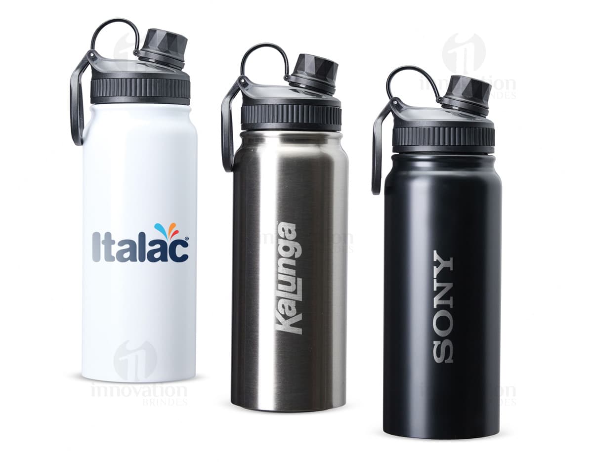 Garrafa Térmica 650ml de cor prata, com tampa rosqueável e alça para transporte.