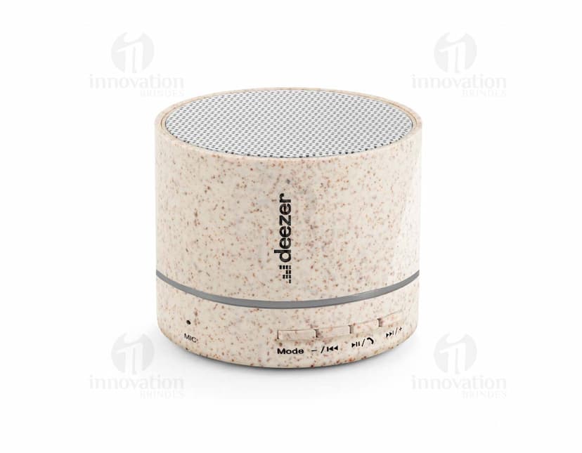 Caixa de som portátil com microfone preta e prateada, com design compacto e moderno.