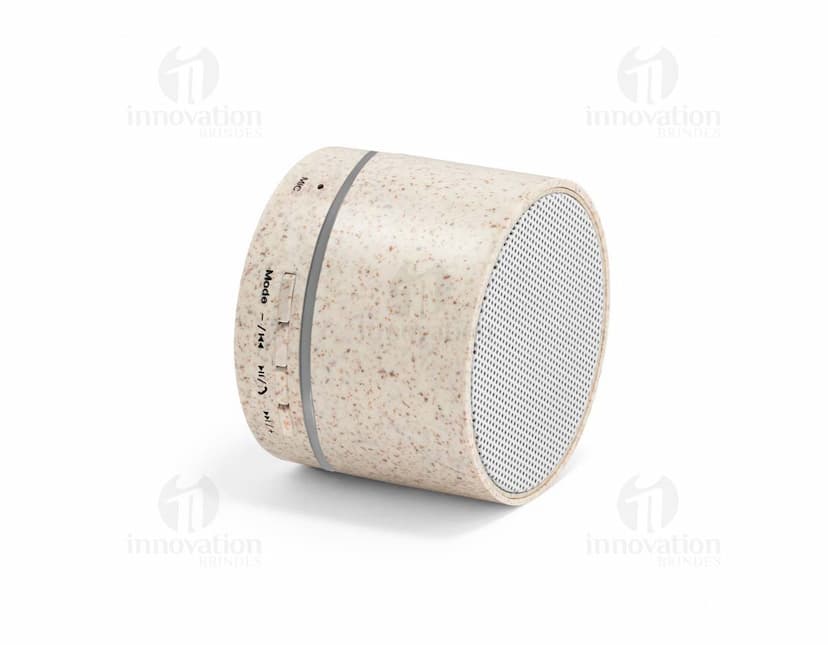 Caixa de som portátil com microfone preta e prateada, com design compacto e moderno.