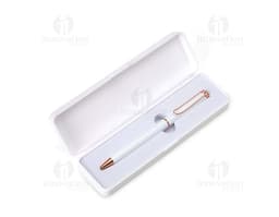 Caneta de metal com estojo plástico em fundo branco.