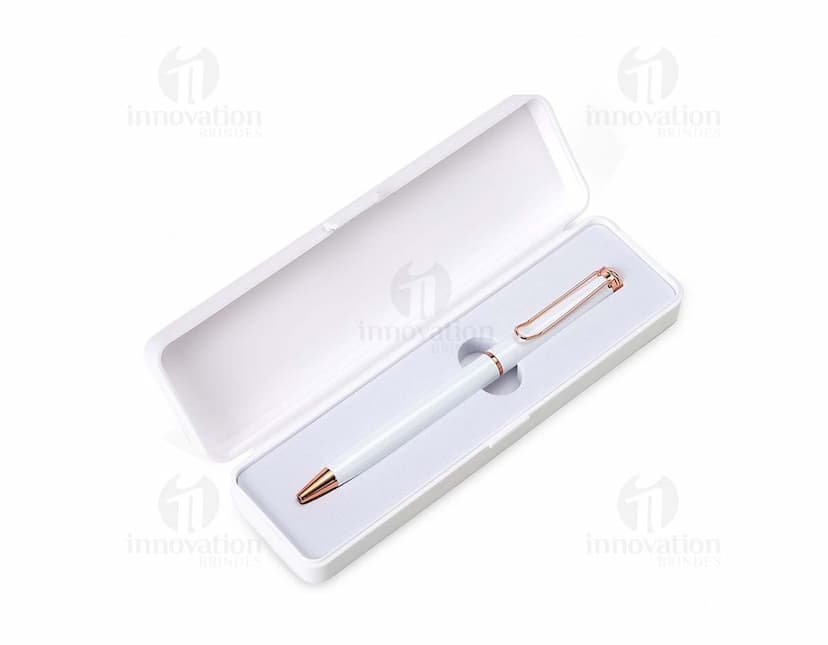 Caneta de metal com estojo plástico em fundo branco.