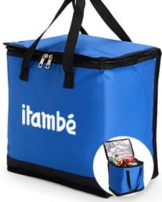 Bolsa Térmica 20 Litros em cor preta, com alça de ombro ajustável, fecho em zíper e bolso externo. Ideal para transporte de alimentos e bebidas.