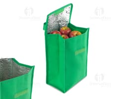 Bolsa Térmica em TNT 80gm² 28x17