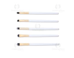 Kit pennello con 5 pezzi su uno sfondo bianco.