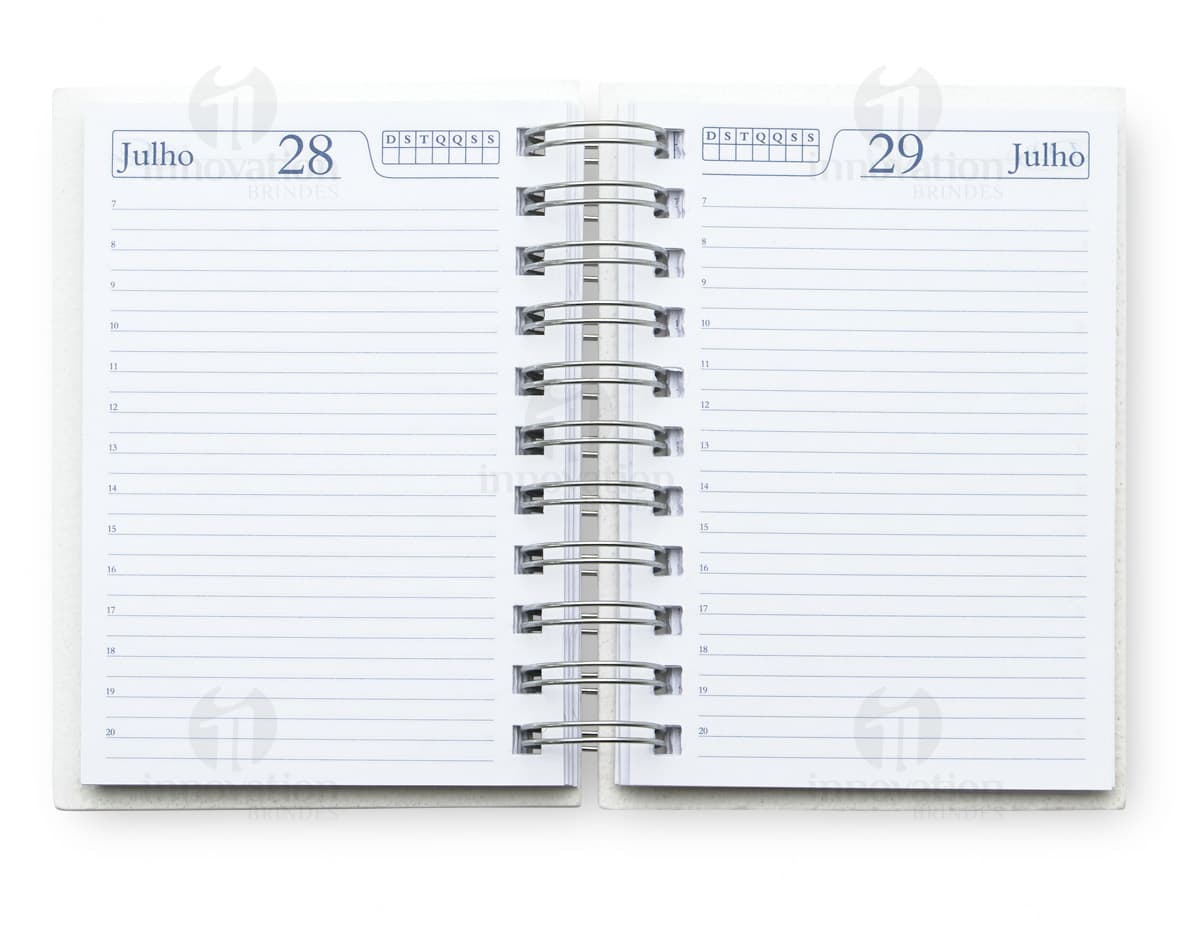 Agenda diária de 2025 em couro marrom antigo, vazia e aberta, com páginas em branco e notas de dinheiro. Retrô, com aspecto envelhecido e textura grunge. Agenda diária de 2025 em couro marrom antigo, vazia e aberta, com páginas em branco e notas de dinheiro. Retrô, com aspecto envelhecido e textura grunge.